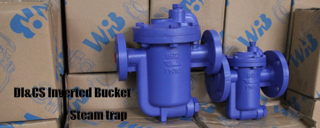 DI&CS Inverted Bucket Steam trap