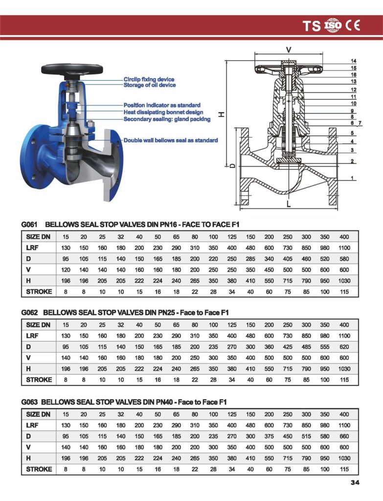 bellow globe valve