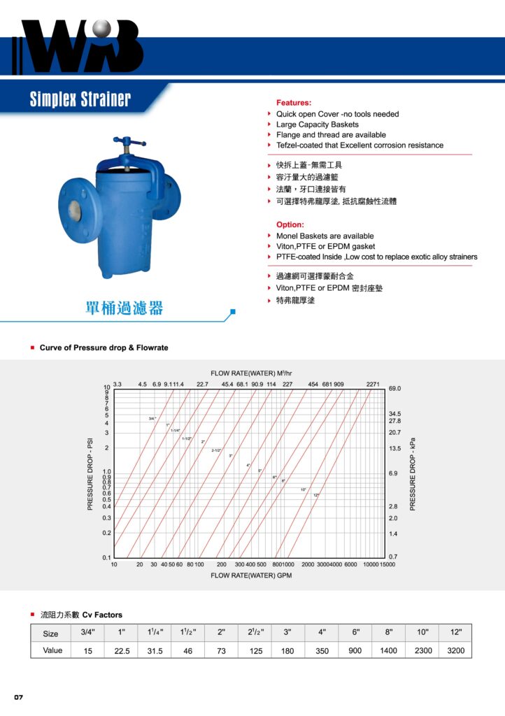 Simplex Strainer