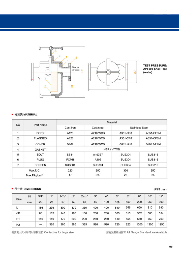 Simplex Strainer