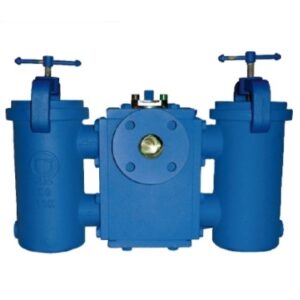 Duplex Strainer