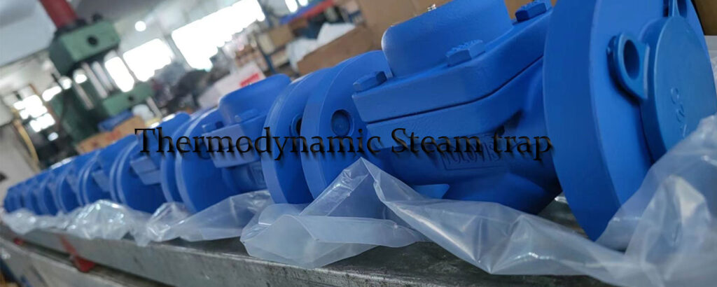 Thermodynamic Steam trap